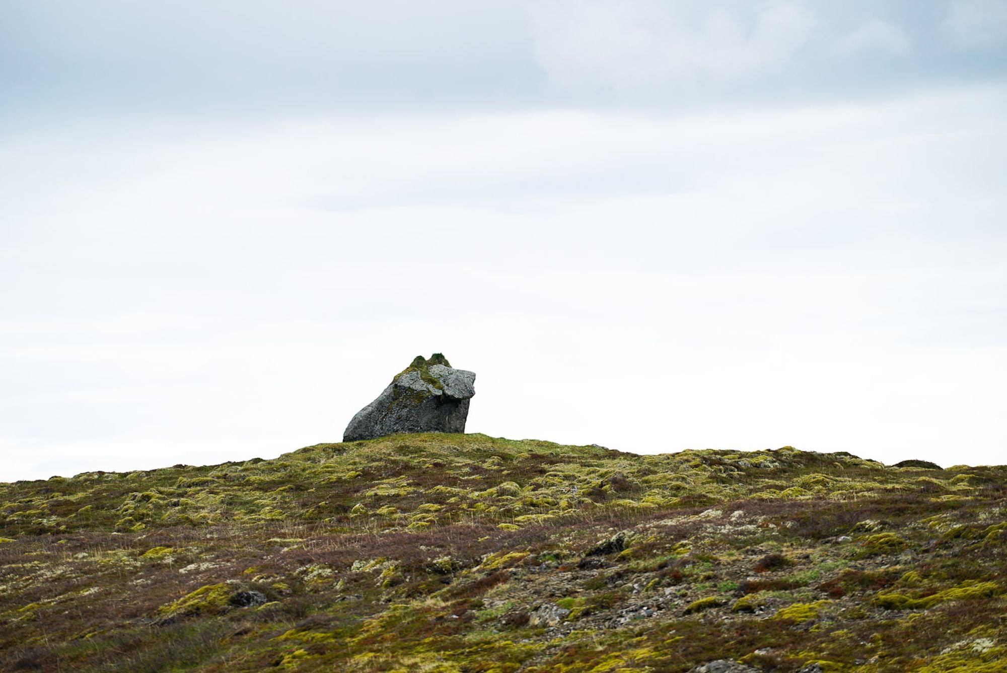 The elf rock The elf home