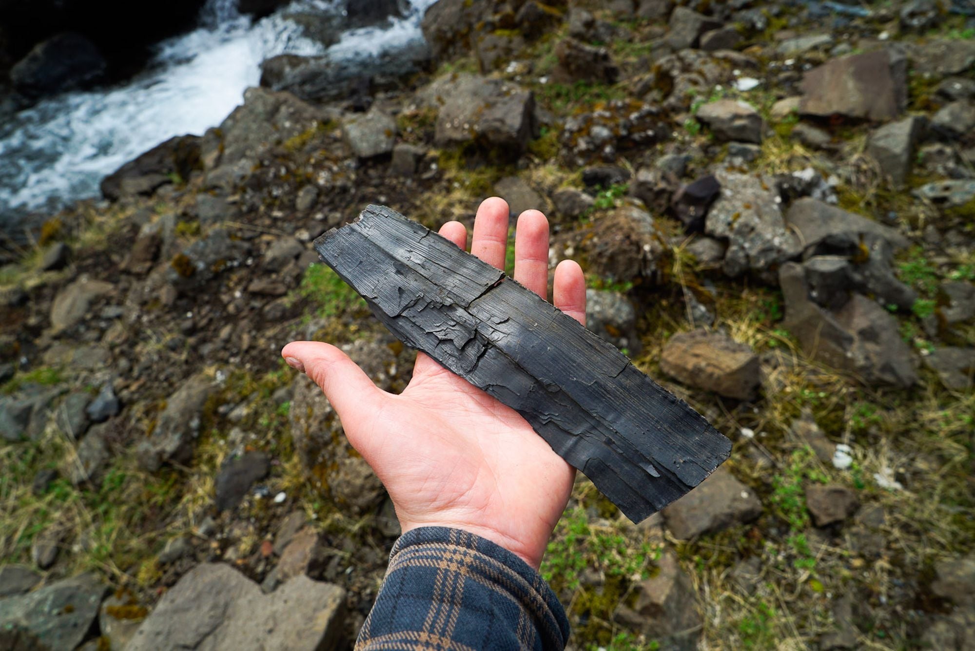 Fossils Fossils