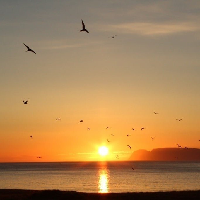 During midsummer the midnight sun just grazes the oceans before rising again