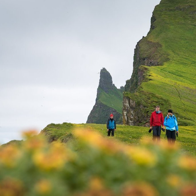 Hornstrandir Image 10