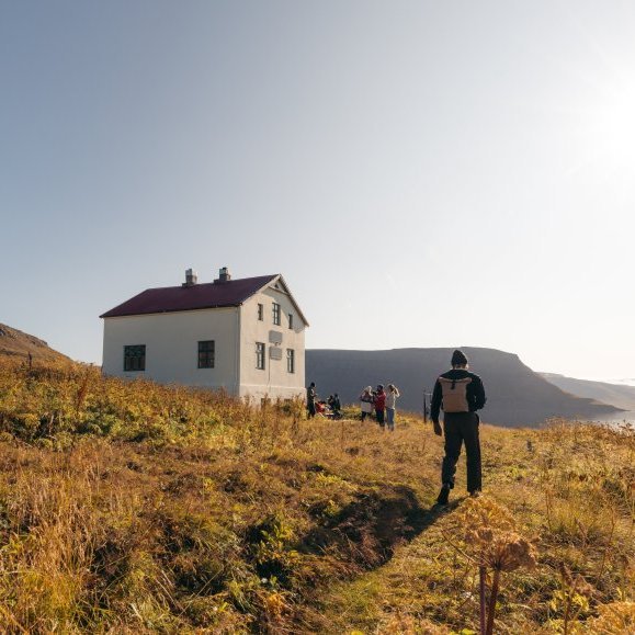 Hornstrandir Image 3