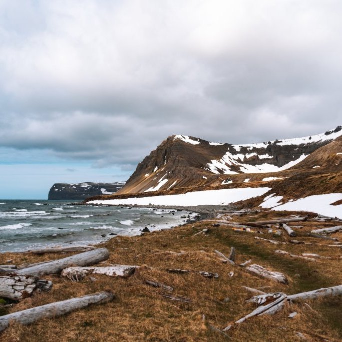 Hornstrandir Image 4