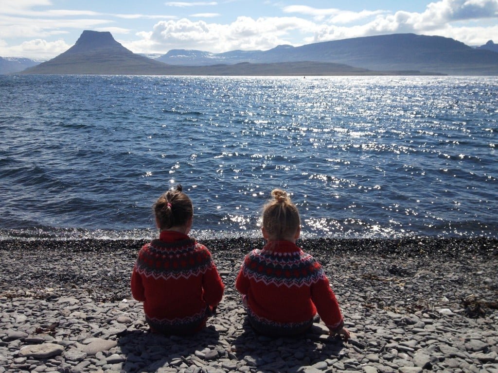 Vigur island