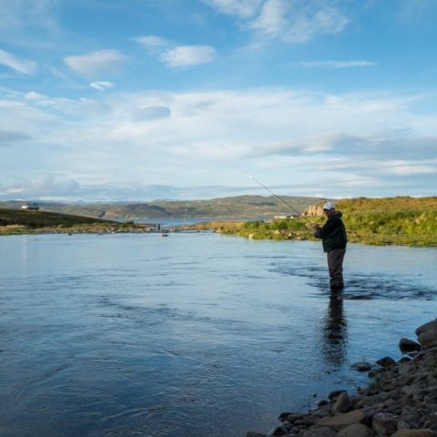 Trout fishing in one of the many rivers in Strandir region