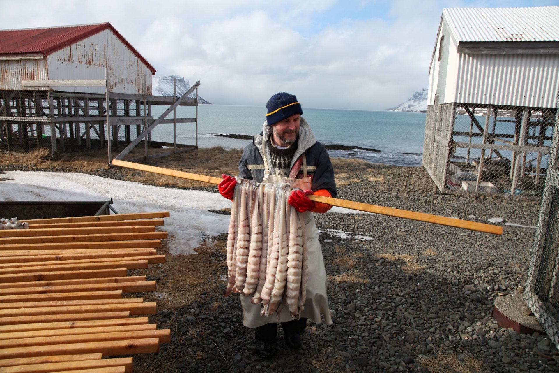 Fiskur