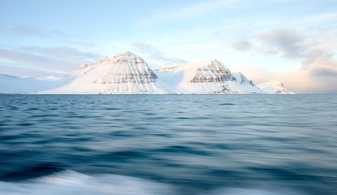 Hornstrandir, Westfjords of Iceland ©Chris König