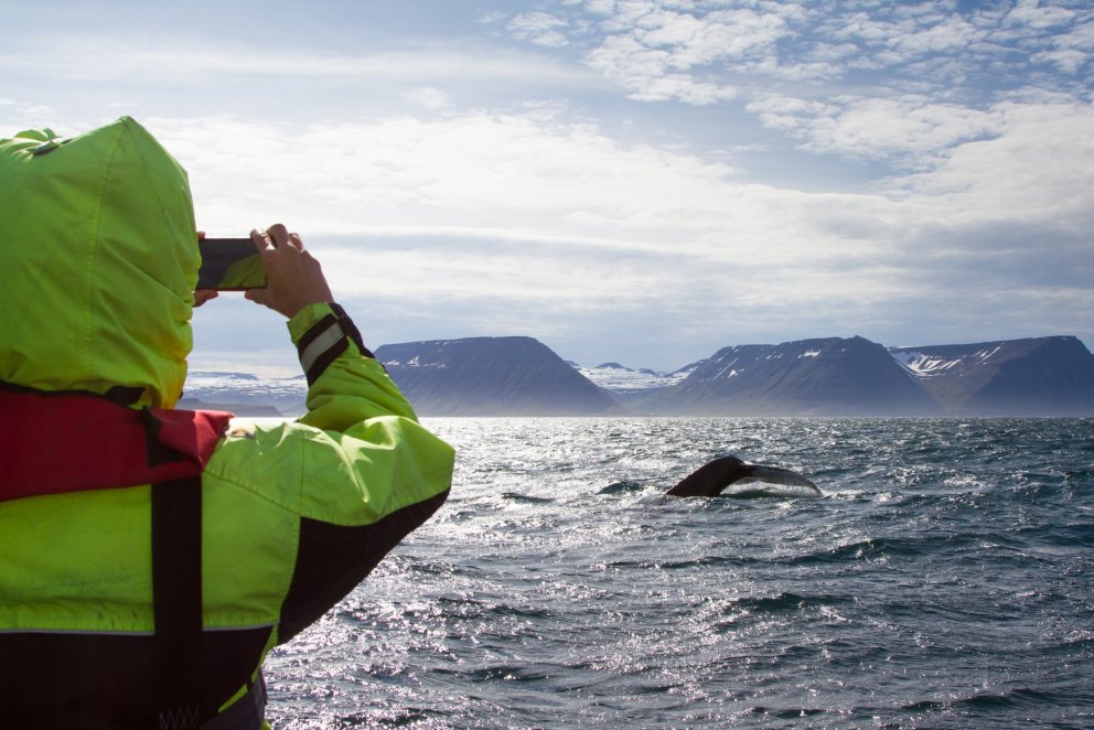 isafjordur iceland tourism